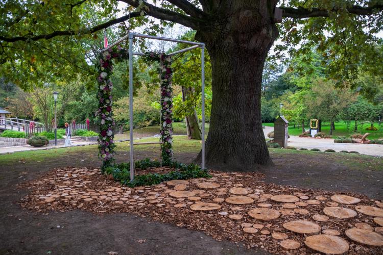 Chrysanten festival!