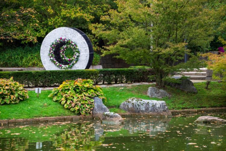 Chrysanten festival!