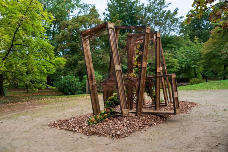 Chrysanten festival!