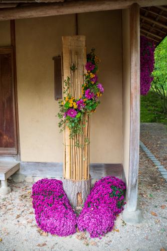 Chrysanten festival!