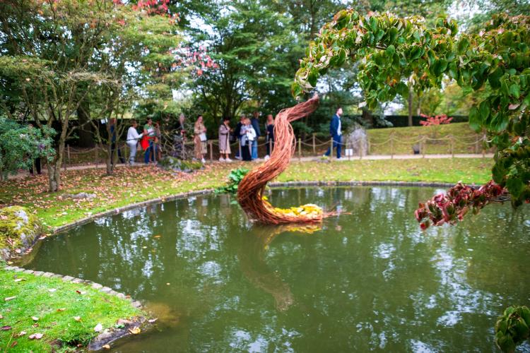 Chrysanten festival!