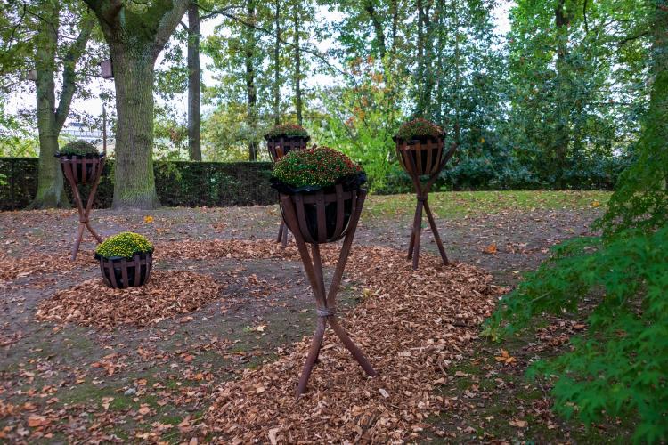 Chrysanten festival!