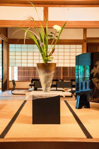 Chrysanten festival!