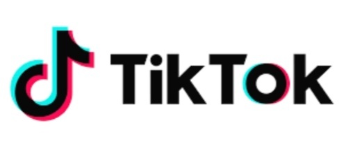 Has anyone not heard about TikTok?