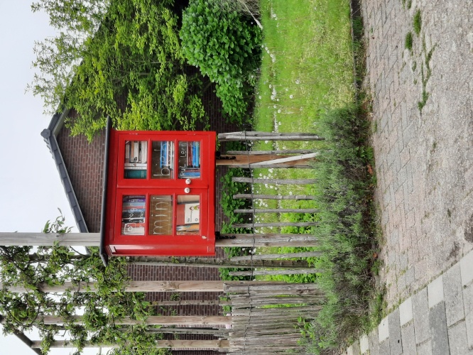 Free little Libraries