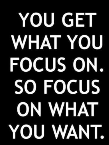 Stay Focus