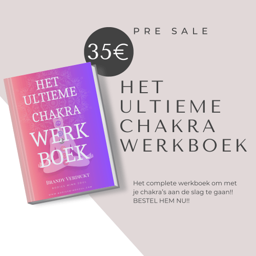 Het ultieme chakra werkboek.