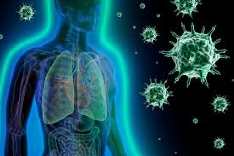 ☀️ Quiz: 💪 BOOST YOUR IMMUNITY QUIZ 🌿 🧠💪