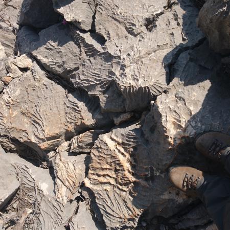 Ik kom wat scherpe rotsen tegen op de #Lycianway  in Turkije. Deze etappe van de wandeling was wat i