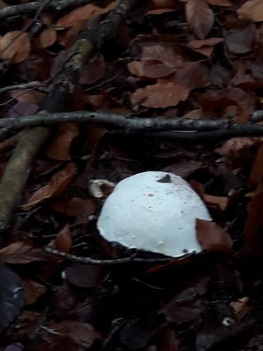 De mooie zichten langs de wandeling