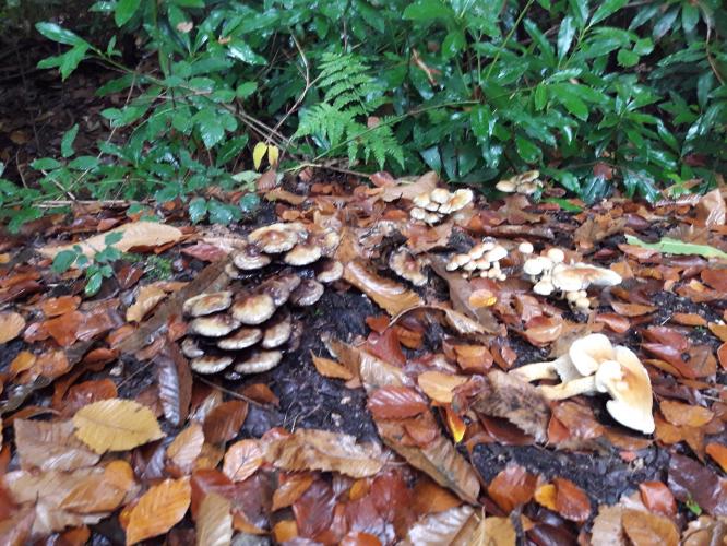 De mooie zichten langs de wandeling