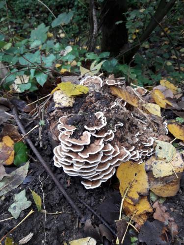 De mooie zichten langs de wandeling