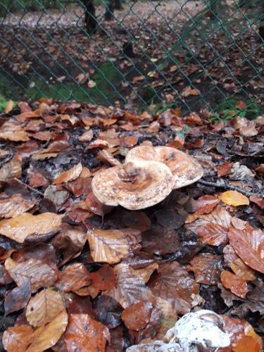 De mooie zichten langs de wandeling