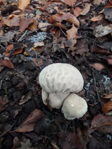 De mooie zichten langs de wandeling