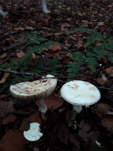 De mooie zichten langs de wandeling