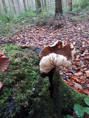 De mooie zichten langs de wandeling