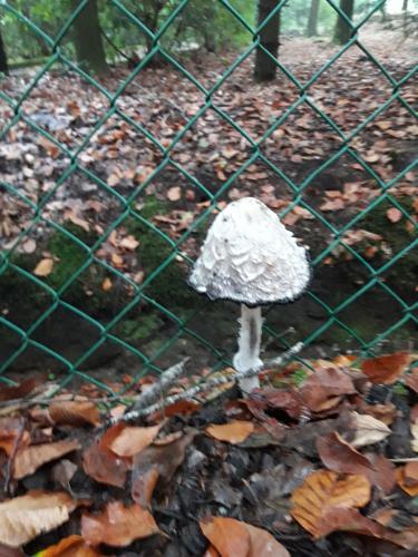 De mooie zichten langs de wandeling