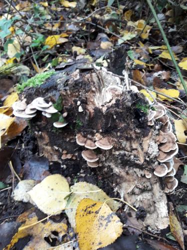 De mooie zichten langs de wandeling