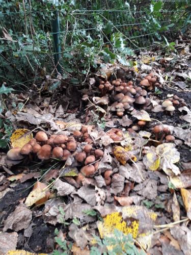 De mooie zichten langs de wandeling