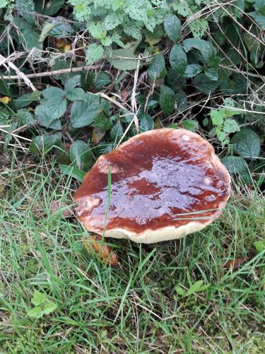 De mooie zichten langs de wandeling