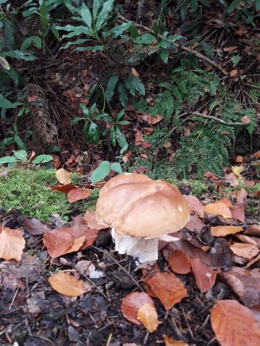 De mooie zichten langs de wandeling