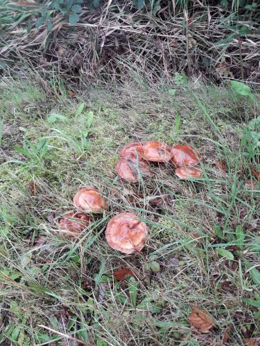 De mooie zichten langs de wandeling