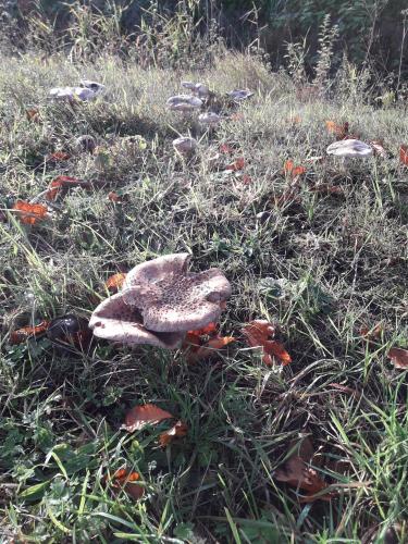 De mooie zichten langs de wandeling