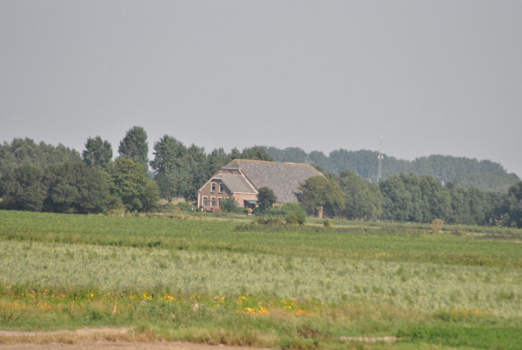 goudswaard