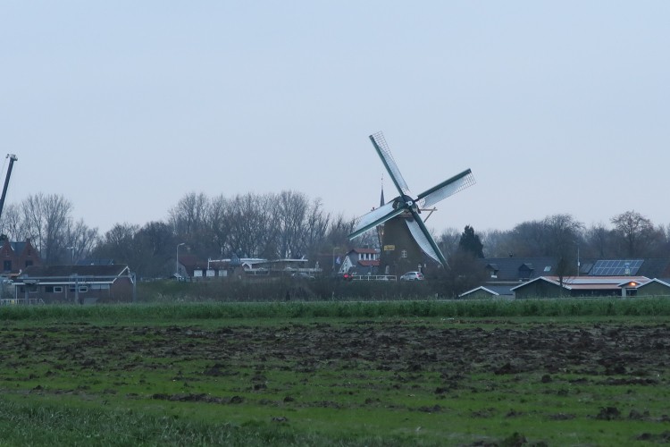 opendag in de molen  de lelie