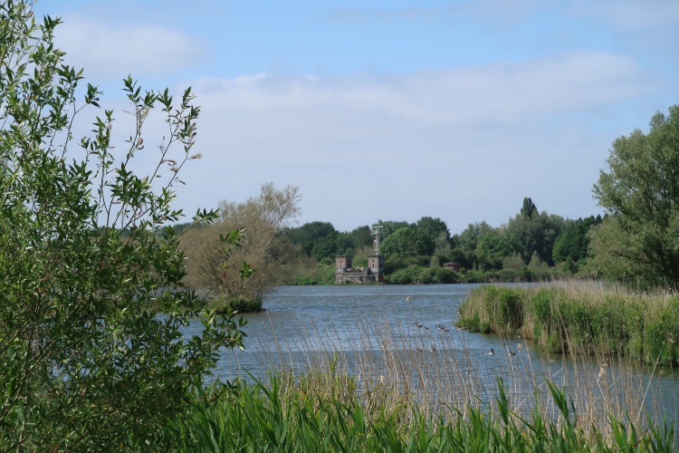 wandeling door het bos wat er niet meer is
