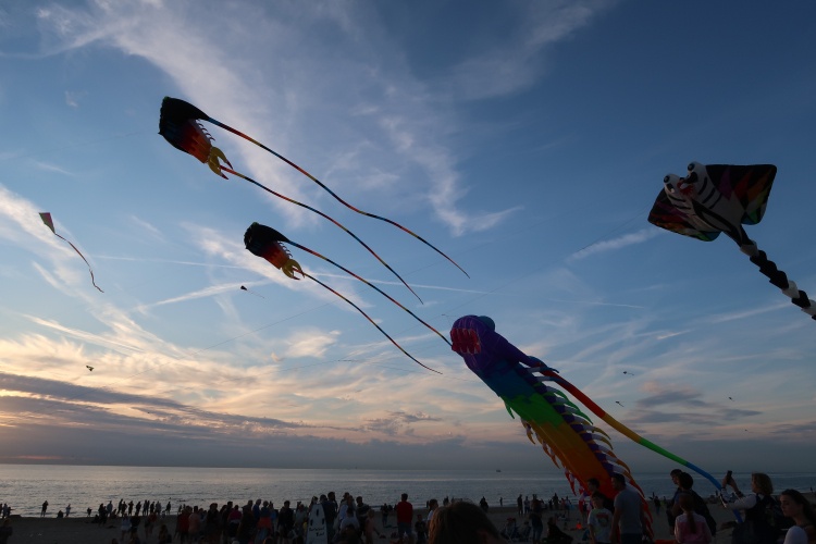 iedereen de beste wensen voor 2025