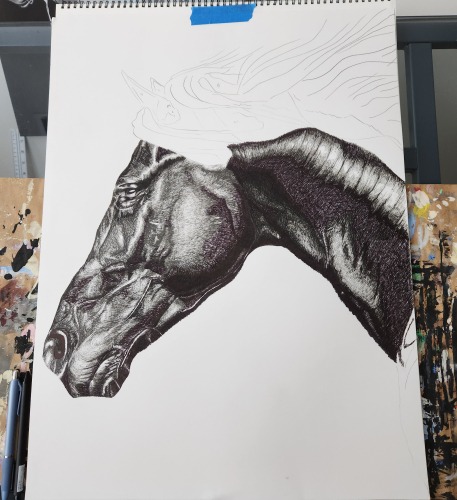 Horse Portrait