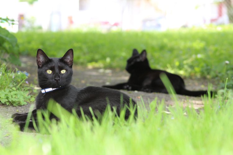 Thankful to be on Yoors!