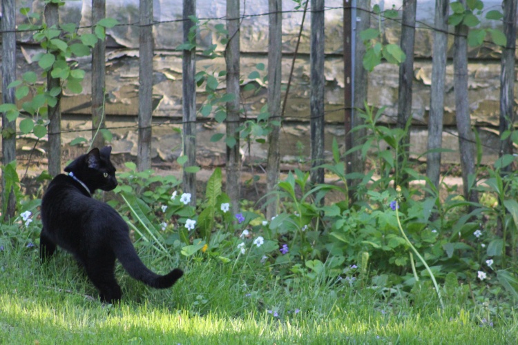 Thankful to be on Yoors!