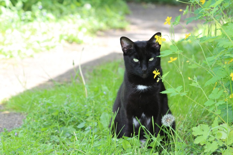 Thankful to be on Yoors!