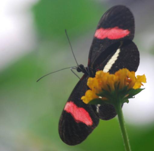 Fijn weekend allemaal