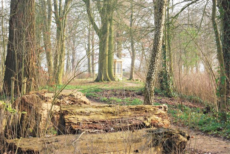 What a lovely day today