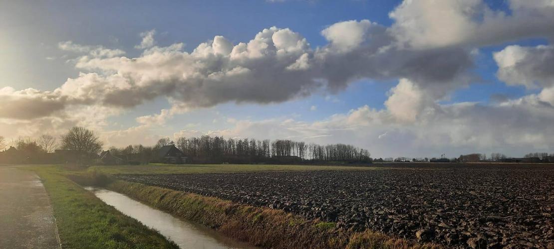 How beautiful is nature