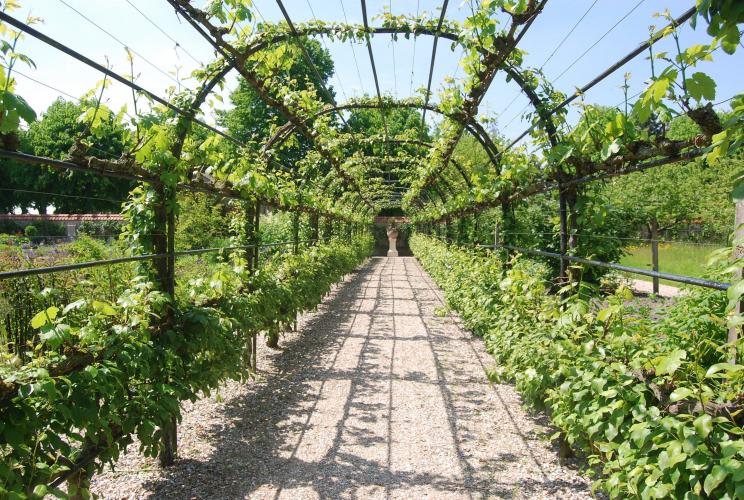 Nostalgie mooi stukje dichtbij huis