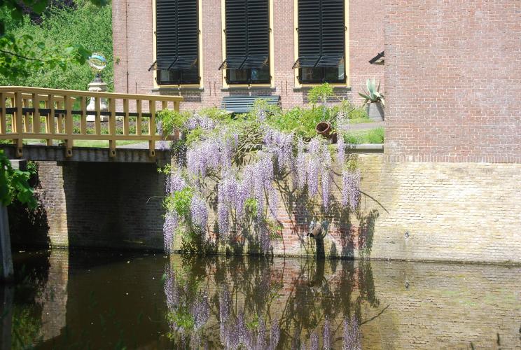 Nostalgie mooi stukje dichtbij huis