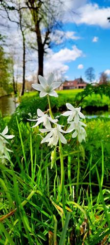 Nostalgie mooi stukje dichtbij huis