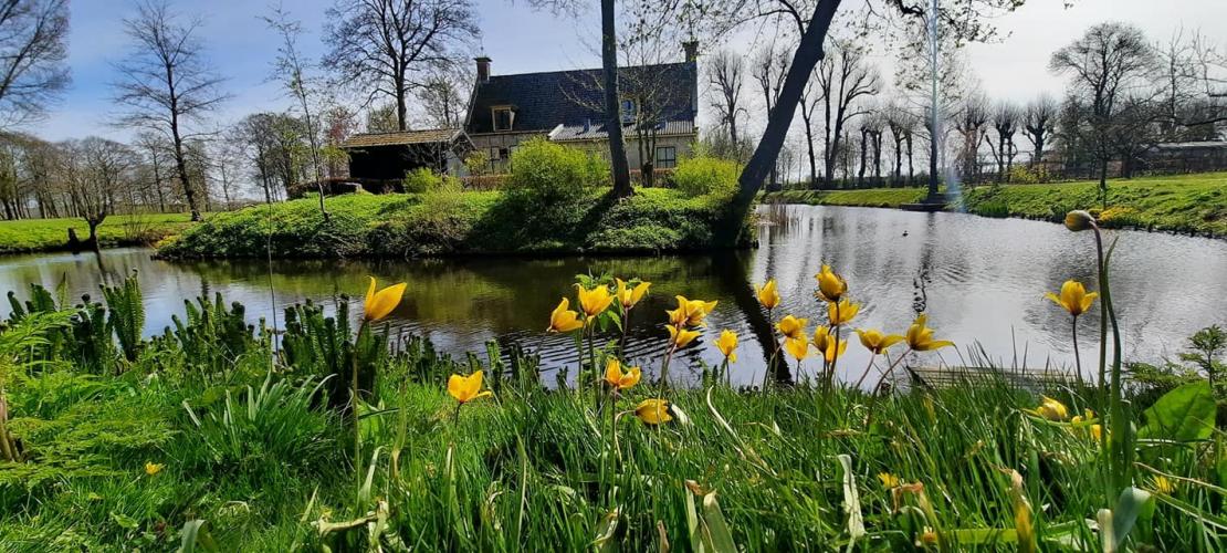 Nostalgie mooi stukje dichtbij huis