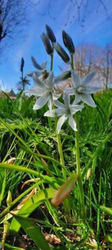 Nostalgie mooi stukje dichtbij huis
