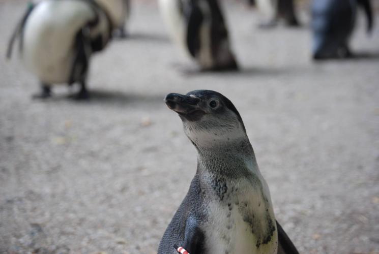 Dagje uit van een poosje terug.
