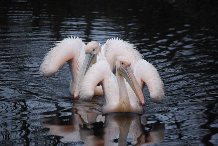 Dagje uit van een poosje terug.
