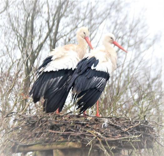 Dagje uit van een poosje terug.