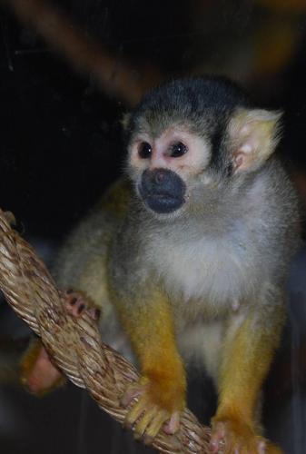 Dagje uit van een poosje terug.