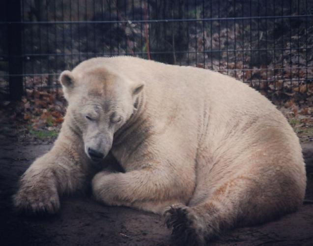 Dagje uit van een poosje terug.