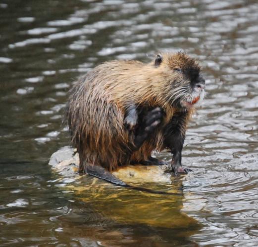 Dagje uit van een poosje terug.