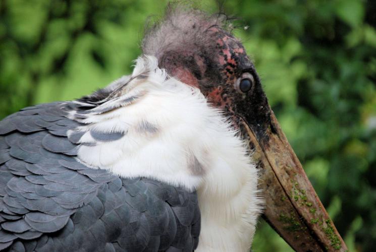 Dagje uit van een poosje terug.